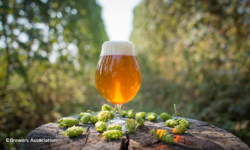 Vol glas bier op een boomstam met hop er omheen midden in een hoptuin